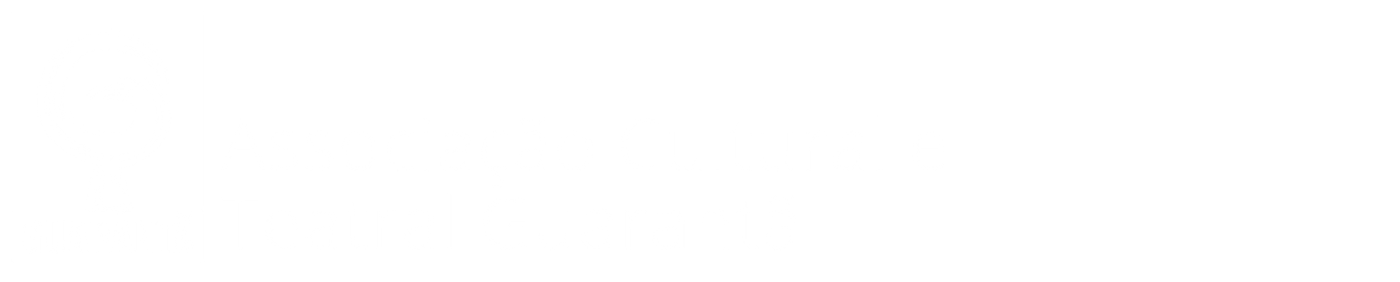 galeria site guaranta (2).png